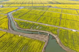 农村子弟考上公务员，家里的田要收回吗？图片