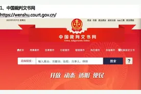 结婚前的“污点检查”，4个必查网站图片
