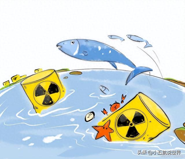 美国开始怕了：日本千叶出现海龟尸体，难道是核污水杀死的？