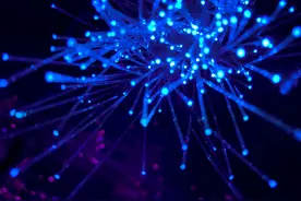 彻底告别2G！移动加大清退力度：新用户只能用4G、5G上网图片