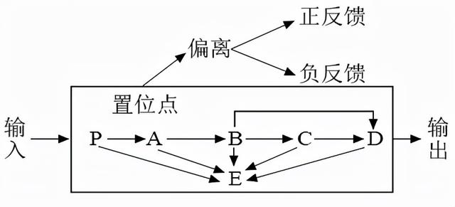 河南名校！省实验中学2021-2022学年高三上学期期中生物试题答案