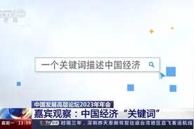 中国发展高层论坛2023年年会丨嘉宾眼中的中国经济什么样？图片
