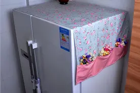 冰箱也有大讲究，千万不要放这三样东西！不仅费电还影响冰箱寿命图片