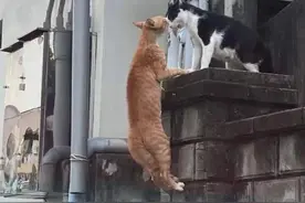 怀疑男朋友在外面偷偷做0？哈哈哈笑不活了图片