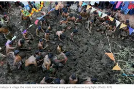 印度最奇葩的节日，牛粪大战，认为身上牛粪越多越幸运图片