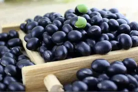 这些豆你都认识吗，能分辨清楚吗图片