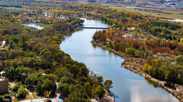 最新实拍！烟台鱼鸟河“顶级秋色”加载中