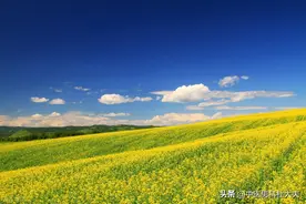 年少时伤精过度，如今精关不守，中医如何快速补回失去的精气图片