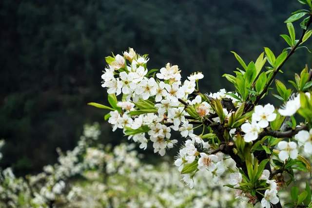四川省民生研究会新媒体中心-官网