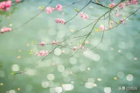 北京不会忘记图片