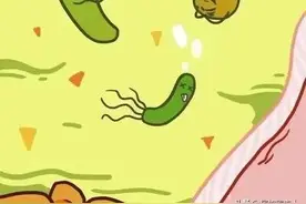 胃的自述：“求求你们，别再吃了，放过我吧！”（漫画）图片