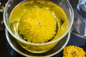 泡菊花茶，这“3个雷区”建议大家别踩！否则茶汤苦涩难喝图片