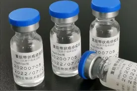 与智飞生物“分手”15年后，绿竹生物携未商业化带状疱疹疫苗IPO图片