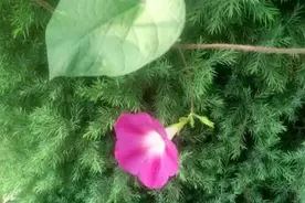 什么样的人，容易发财？什么样的人，最容易事业有成？图片