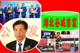 湖北“谷城首富”：26岁办厂，创办民营500强，一年进账276.78亿图片