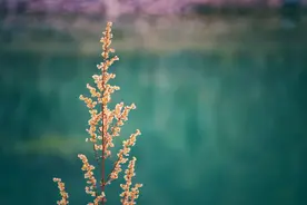 人与人之间，能够长久的关系，其实是这样的图片