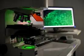 人类能看见这些“小家伙”，离不开这群执着的强迫症！图片