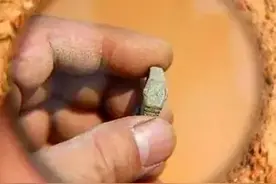 是否真的有时空穿越者？图片