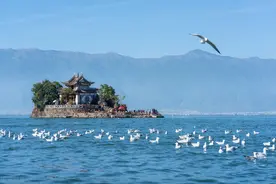 案例 | 乔家大院的“身股”激励五步法图片