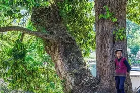 古人劝告：“门前三冲，人闲家穷”，什么是三冲？有何科学道理？图片