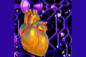 叶酸能降血压？还能预防老年痴呆？医生告诉您真相图片