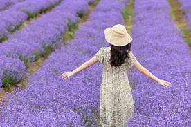 女人最正确的爱情观：六个字图片