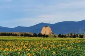 从春走到夏，一路赏尽大同花图片