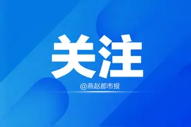​10岁儿童高空坠桥！景区项目紧急关停图片