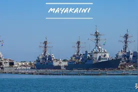 最新全球军火出口榜：哪些国家最能买？哪些国家最赚钱？中国第四图片