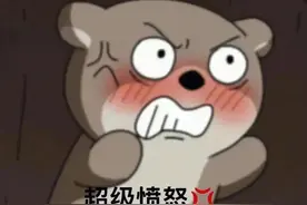 表情包：超级愤怒图片