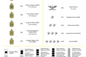 (1图)美军：陆军军衔标志(U.S. ARMY RANK INSIGNIA)及估计晋升时限图片
