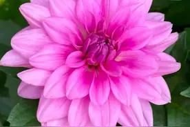 男人是不是“真心”爱你，看他对你有没有这三种表现，就知道了图片