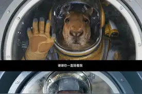 《独行月球》热播，袋鼠“刚子”火了，这背后的故事让人敬佩图片