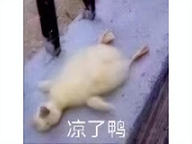 2022年停运最多的竟是腾讯？停运近30款游戏，亿级老游戏也得凉！