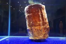 盘点几个违背生命规律的生物：你听说过，跳出三界的“太岁”吗？图片