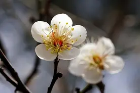 奔五的女人还需要男人吗？采访了四位过来人，她们说出了心里话图片