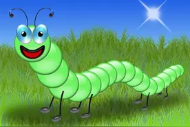 小小历险记（八）：毛毛虫的历险旅途！图片