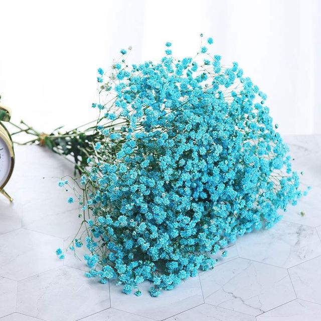 满天星代表什么意思花语是什么,满天星花语及传说 - 趣测网