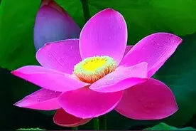 夫妻是上辈子的冤家，情人上辈子是夫妻图片