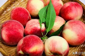 买桃子，只挑又大又红的不靠谱，牢记5点，个个好吃，香甜汁水多图片