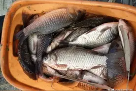 野钓遇走水怎么办？最全抗走水攻略来了，速速收藏拿走不谢图片