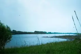 梦见自己下河抓条大鱼，真的有财运吗？图片