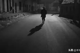 秩序干扰：权力动态与道德冲突——《鲸鱼马戏团》中的探讨图片