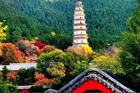 古刹金秋，醉美灵岩图片