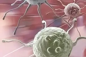 感染性病尖锐湿疣多长时间会发病？图片