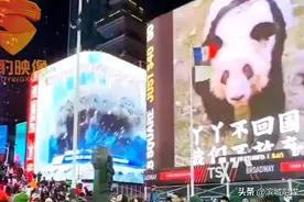 网友为丫丫重金买纽约时代广场投屏图片