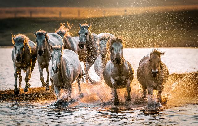 ��Ӱͼ�ǣ��ҵ�2021�����ƪ��