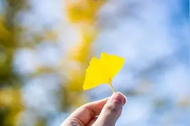 “可怜之人，必有可恨之处”：这三种人，不值得同情，要远离！图片