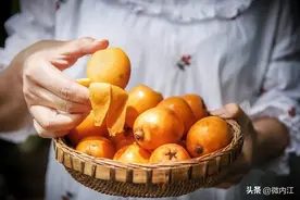 限量抢购！正宗树熟归德大五星枇杷，内江城区包邮到家——图片