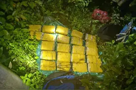 查获23公斤冰毒！中秋给警犬“咖啡”加火腿肠图片